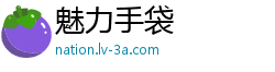 魅力手袋